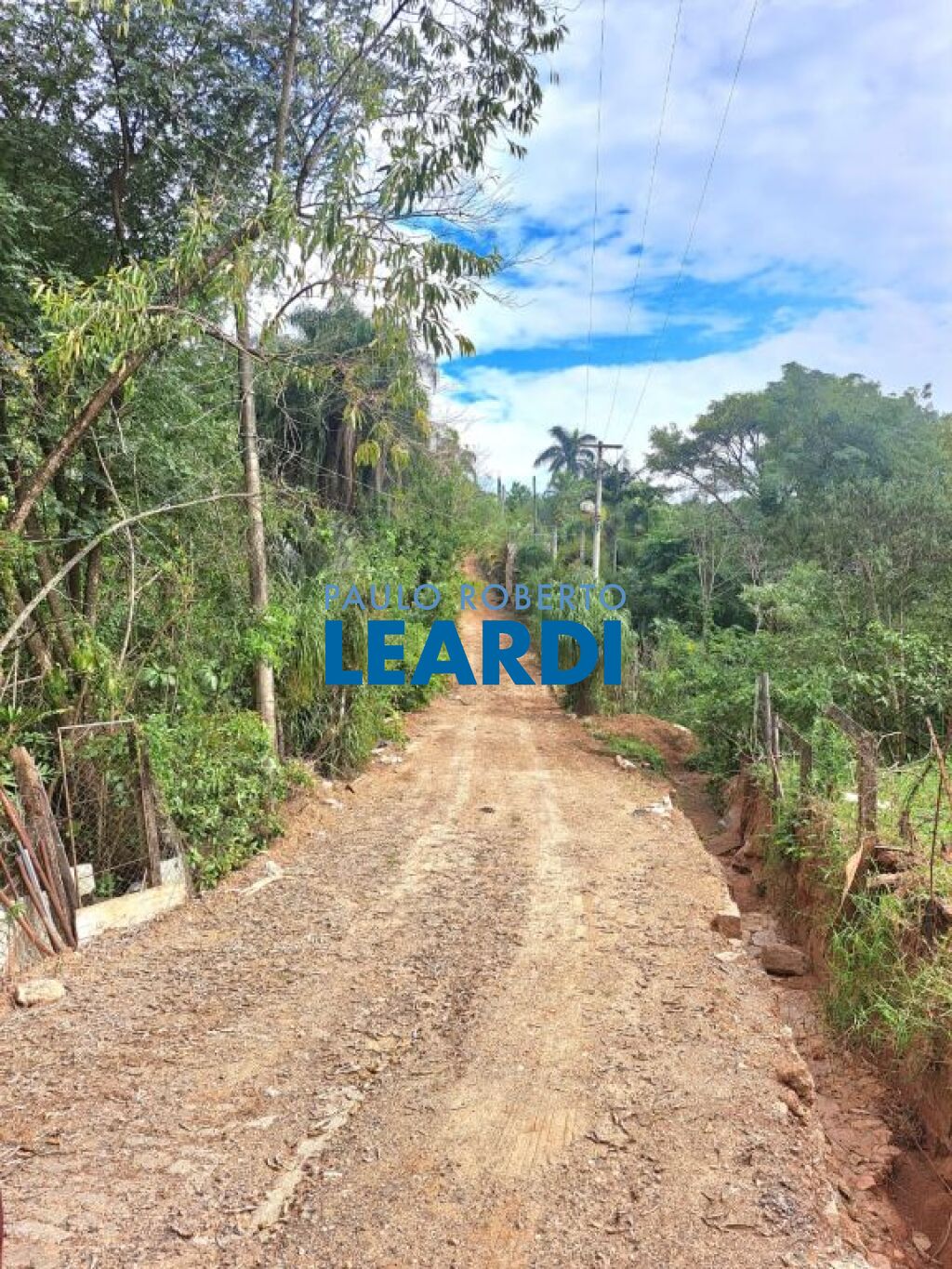Lote/Terreno