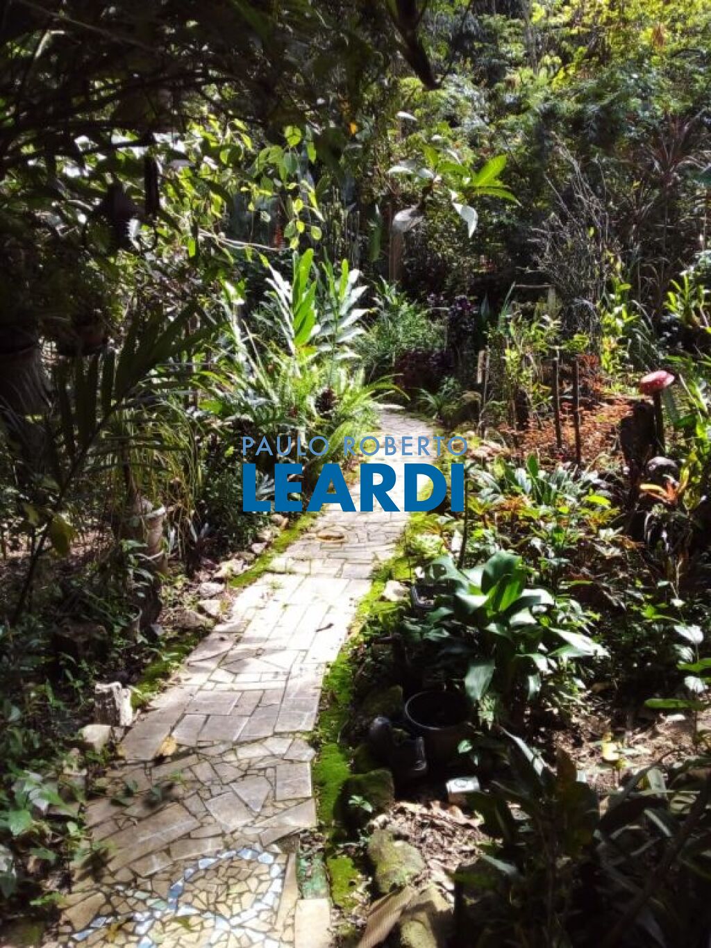 Residencial / Fazenda