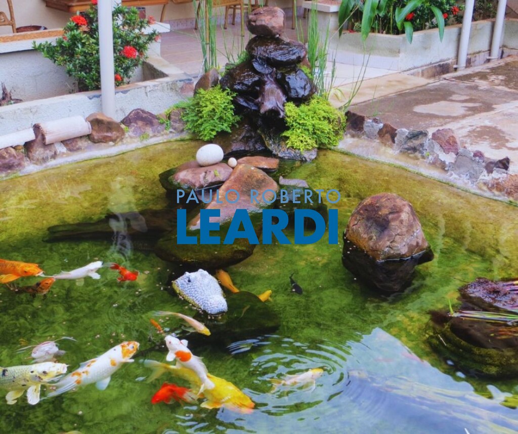 Ponto Comercial/Loja/Box