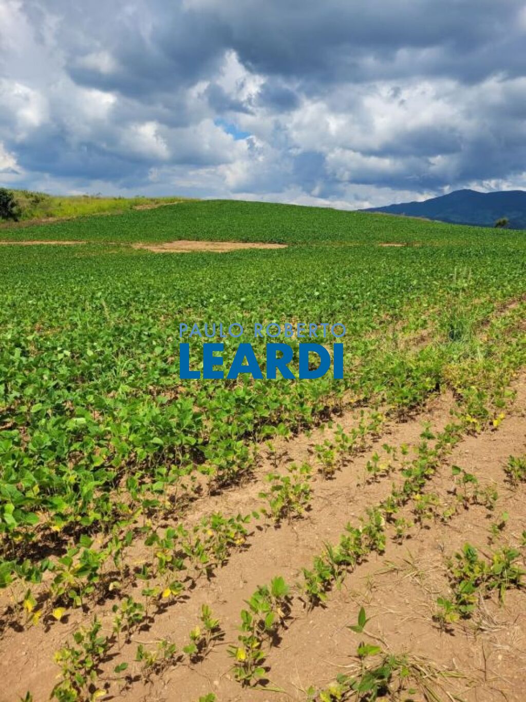 Residencial / Fazenda