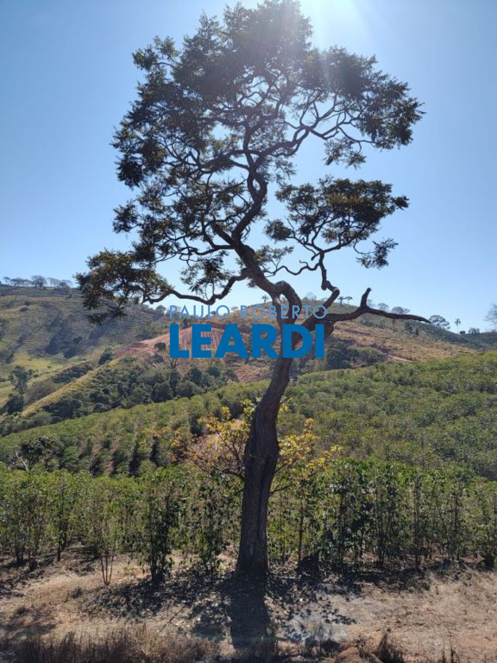 Residencial / Fazenda