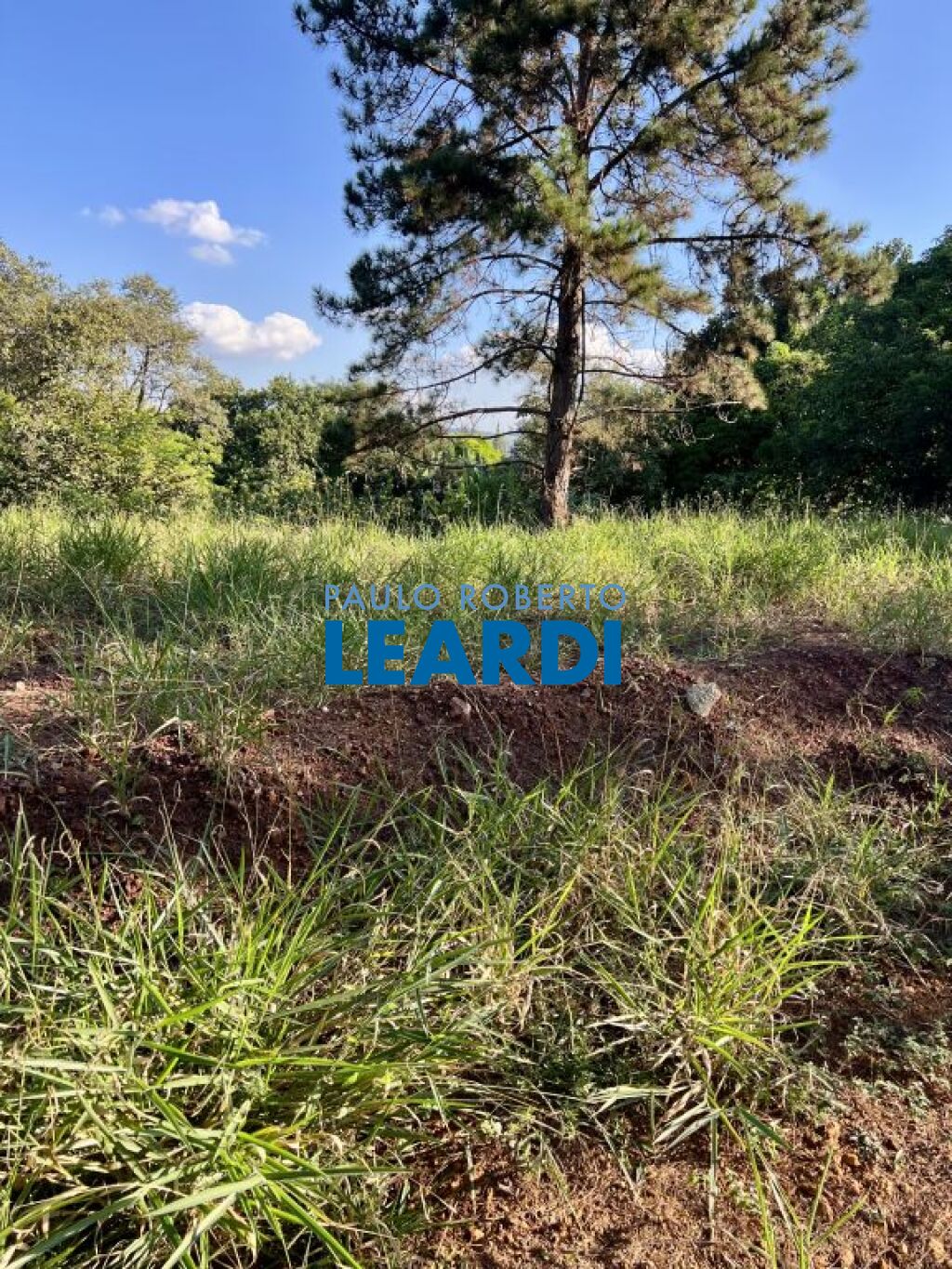 Lote/Terreno