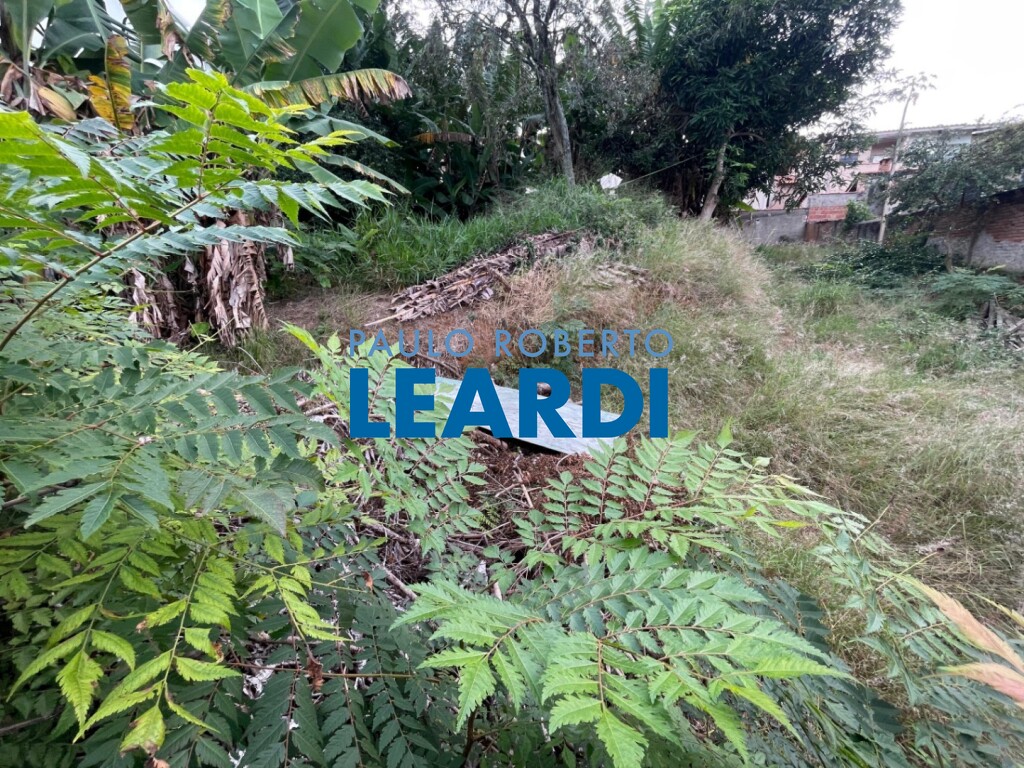 Lote/Terreno