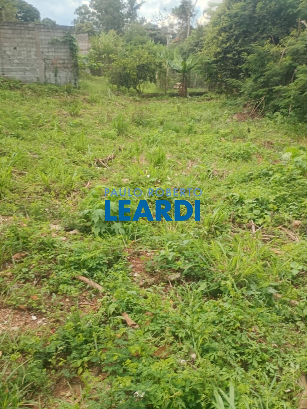 Lote/Terreno